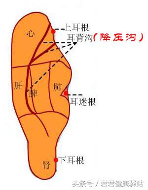 高血压头部按摩降压方法,高血压按摩哪些穴位降压最快
