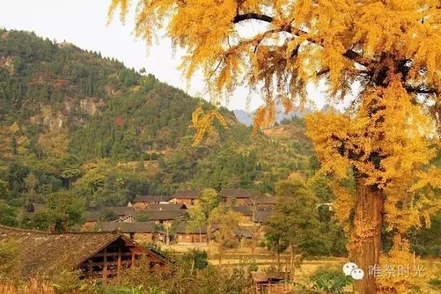 年轮,年轮汪苏泷