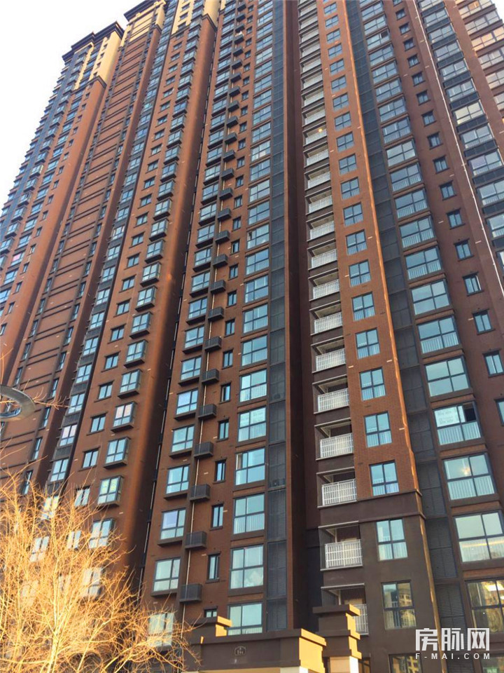 见证西安的发展,见证西安走进碑林