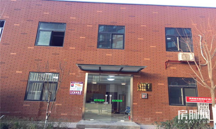 见证西安的发展,见证西安走进碑林