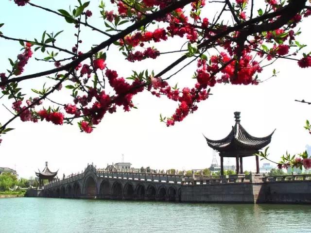 常州“最美乡镇”巡礼——东大门的741人家