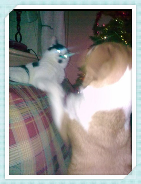 人要是倒霉喝凉水都塞牙缝,人要是倒霉喝凉水都塞牙后续