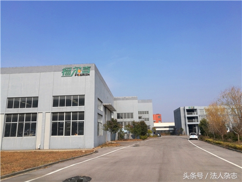 中创公司深陷担保泥潭谁来保护巨额国资