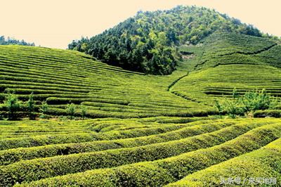 农民建房为什么这么难,农民建房审批管理典型案例