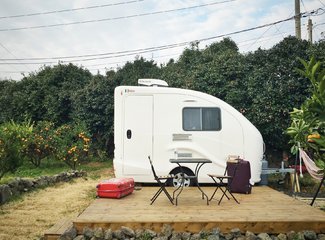 济州岛游记记录,济州岛的春天旅行日记