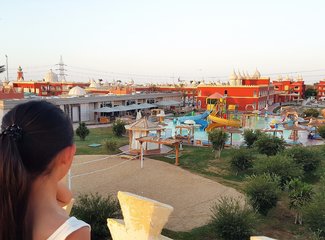 二进埃及，红海我怎能不爱你