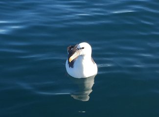 新西兰房车15天攻略,房车旅行记新西兰