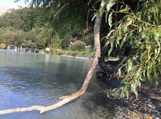 新西兰房车15天攻略,房车旅行记新西兰