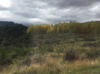 新西兰房车15天攻略,房车旅行记新西兰