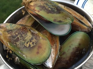 新西兰房车15天攻略,房车旅行记新西兰