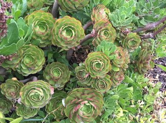 新西兰房车15天攻略,房车旅行记新西兰