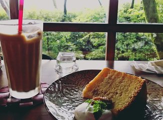 11月京都红叶游记,京都红叶两日游