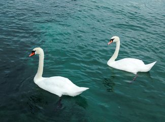 记忆里的那一抹蓝作文,记忆中的那一抹蓝色