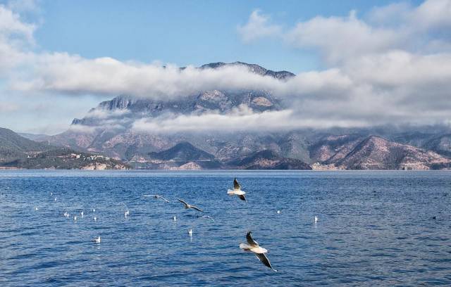 沪昆高铁上海虹桥开往昆明南,沪昆高铁昆明始发车次