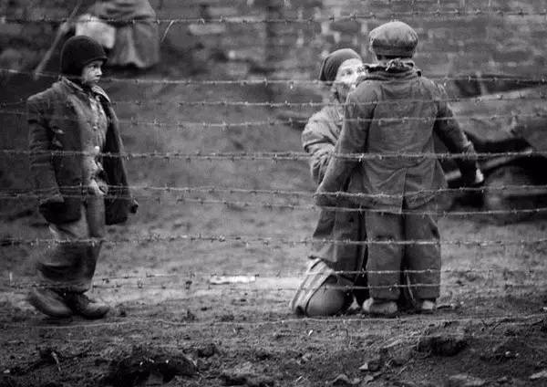 刷完这张片单，一整年的装逼资本都有了（快收藏）