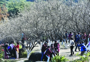 六号线免费景区有哪些路线,六号线能去的免费景点