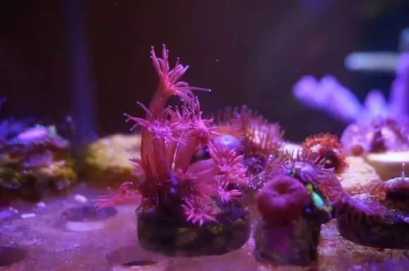 玩的真溜，三千玩出了三万的水平！