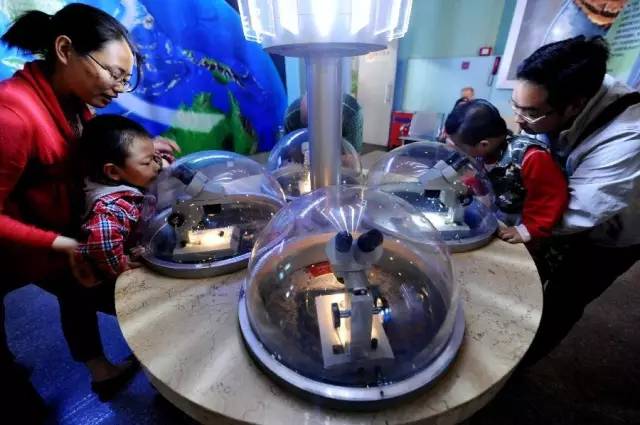 周末恰逢圣诞，去这些好玩的地方就对了！