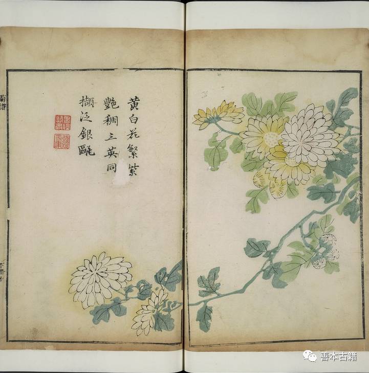 芥子园画传第一册,芥子园画传哪个版本好