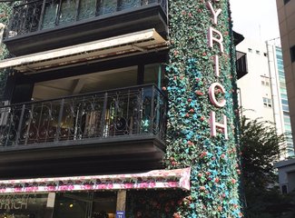 韩国吃喝玩乐旅游攻略,韩国购物攻略100例