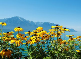 记忆里的那一抹蓝作文,记忆中的那一抹蓝色