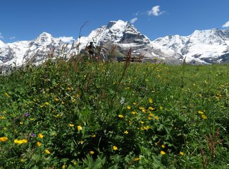 如诗如画如歌如梦完整版,如诗如画的瑞士