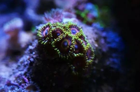 玩的真溜，三千玩出了三万的水平！