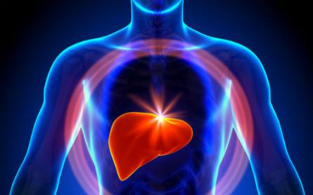 健康周吃啥,健康知识科普周