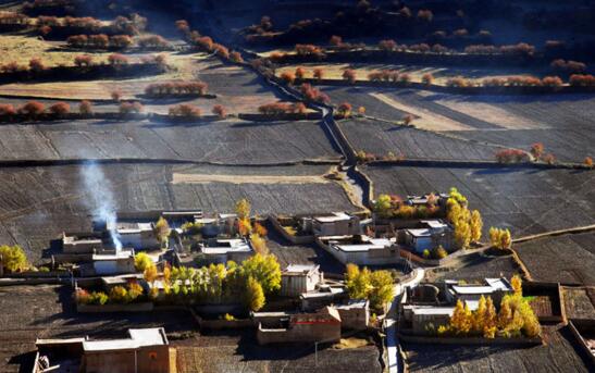 格萨尔王保佑——甘孜县青稞快乐生长