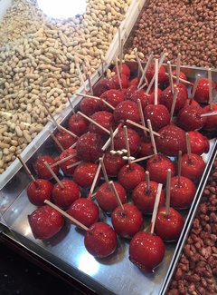 西西里岛自由行,西西里岛两日游攻略