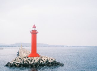 济州岛游记记录,济州岛的春天旅行日记