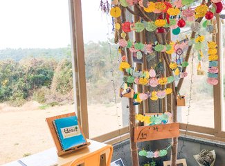 济州岛游记记录,济州岛的春天旅行日记