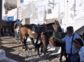 爱琴海旅游日志,爱琴海的梦幻之旅