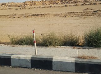 二进埃及，红海我怎能不爱你