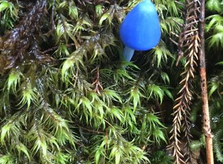 新西兰房车15天攻略,房车旅行记新西兰