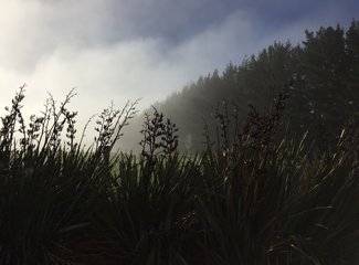 新西兰房车15天攻略,房车旅行记新西兰