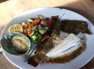 新西兰房车15天攻略,房车旅行记新西兰