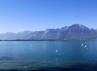 记忆里的那一抹蓝作文,记忆中的那一抹蓝色