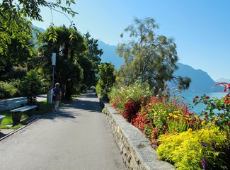 记忆里的那一抹蓝作文,记忆中的那一抹蓝色