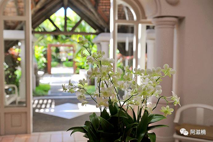 新的一年有很多事情要做,新的一年新的事