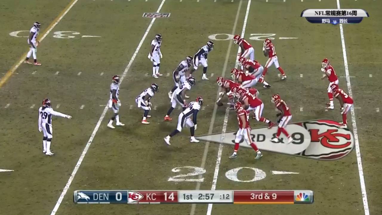 酋长最新比赛,酋长战胜野马