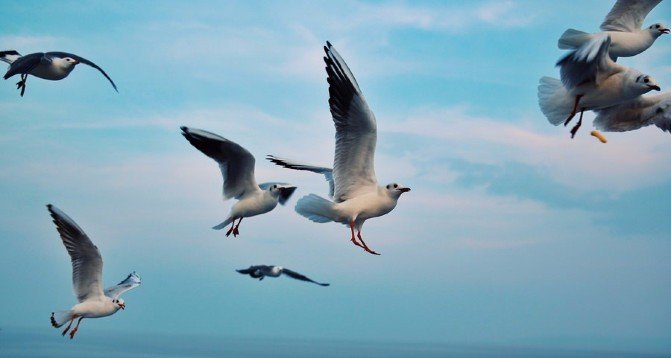 日本九州旅行游记,7天物语