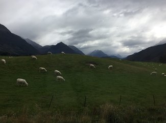 新西兰房车15天攻略,房车旅行记新西兰