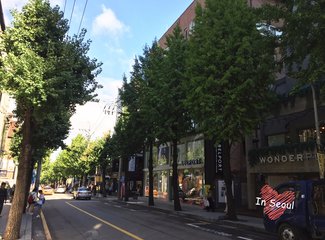 韩国吃喝玩乐旅游攻略,韩国购物攻略100例