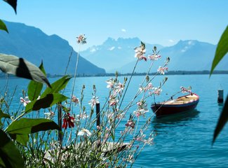 记忆里的那一抹蓝作文,记忆中的那一抹蓝色