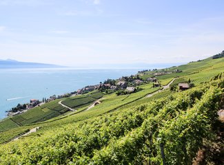 记忆里的那一抹蓝作文,记忆中的那一抹蓝色