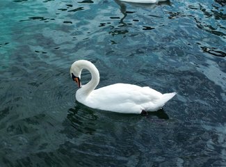 记忆里的那一抹蓝作文,记忆中的那一抹蓝色