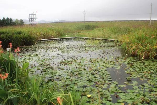 收藏亲子时光,亲子农庄旅游攻略大全