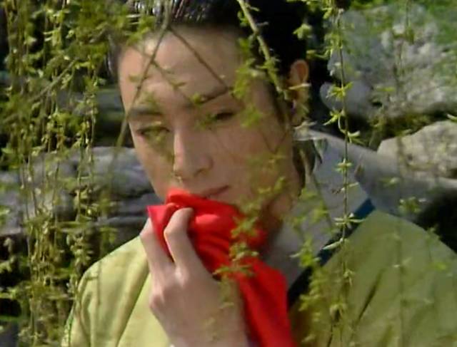 红楼梦为争宠姐弟遭梦魇解读,红楼梦为争宠姐弟遭梦魇第几集