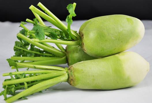 冬天雾霾对人的肺怎么清理,吸了粉尘怎么清肺